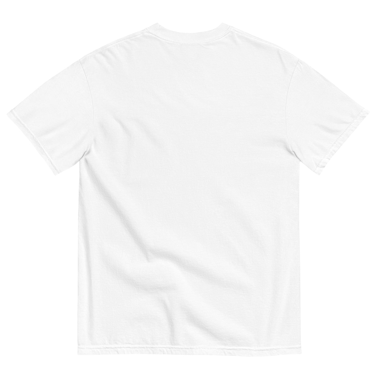 PhdInWaves 360 "Waves" T-Shirt